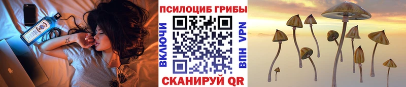Галлюциногенные грибы GOLDEN TEACHER  Дальнегорск 