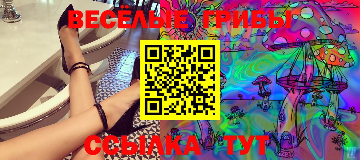 Галлюциногенные грибы ЛСД Дальнегорск