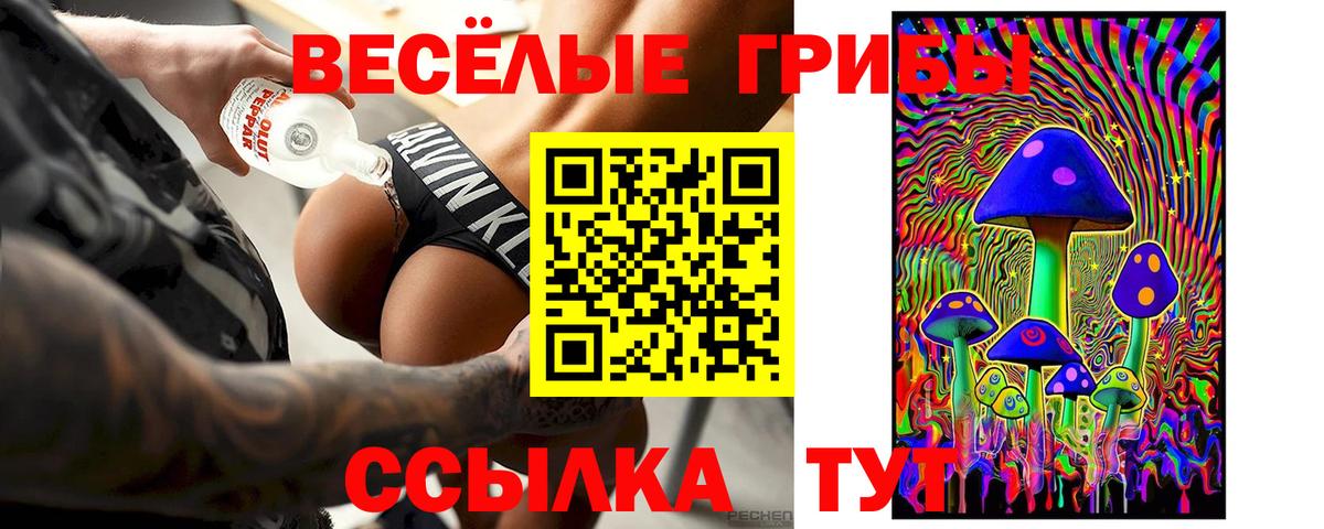 Галлюциногенные грибы ЛСД  Вход с VPN  Дальнегорск 